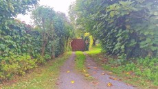 817141380_6.jpg 817141380_6.jpg