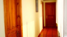 81714146_30.jpg