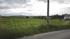 817141403_5.jpg